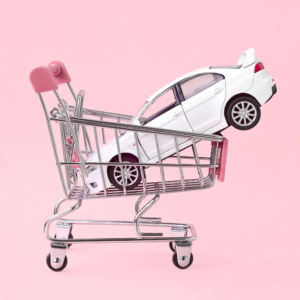 To Buy a Car (Immigrants.pt)